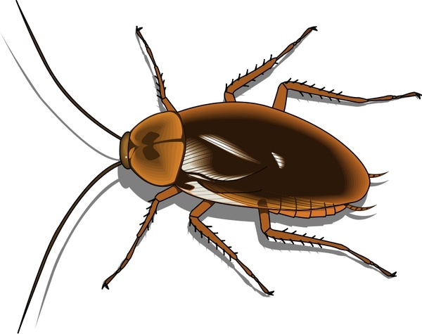 pest control service in noida sector 62 sector 63