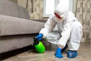 pest control service in noida sector 62 sector 63