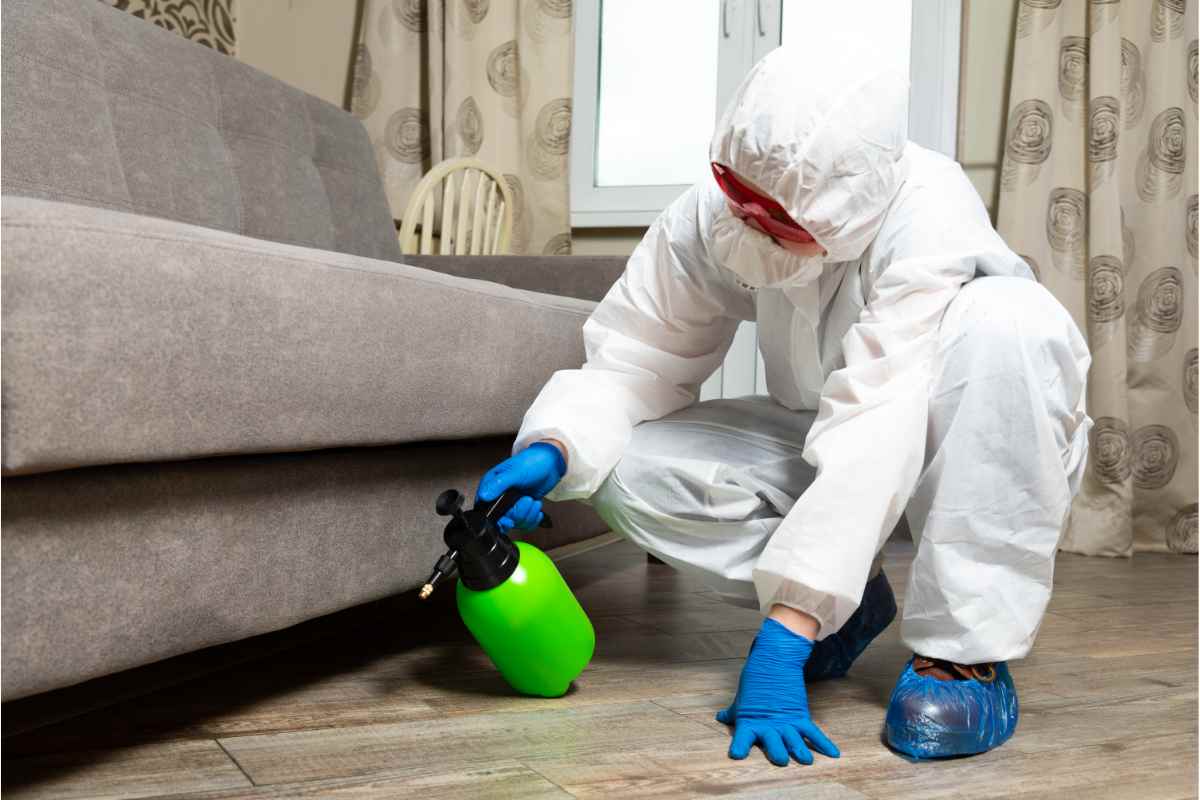 Read more about the article Pest Control Services in Delhi ncr